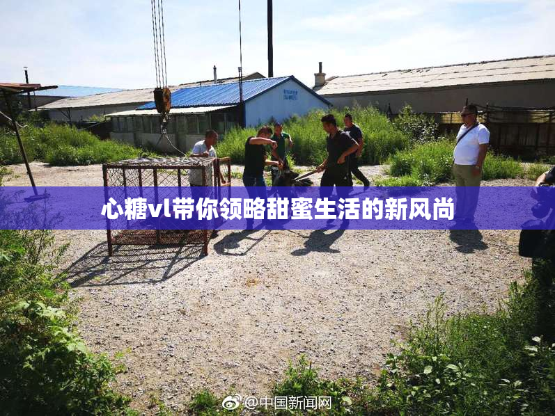 心糖vl带你领略甜蜜生活的新风尚