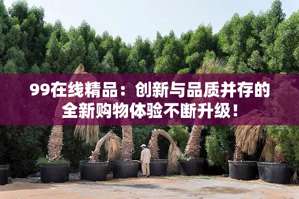 99在线精品：创新与品质并存的全新购物体验不断升级！