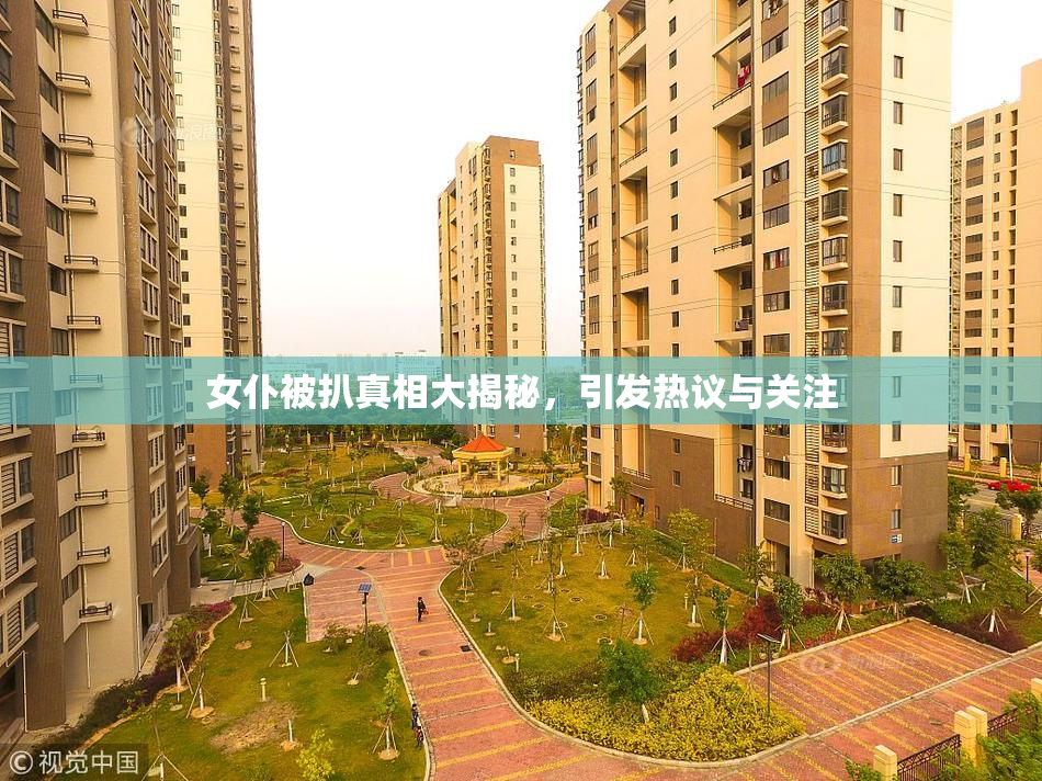 女仆被扒真相大揭秘，引发热议与关注