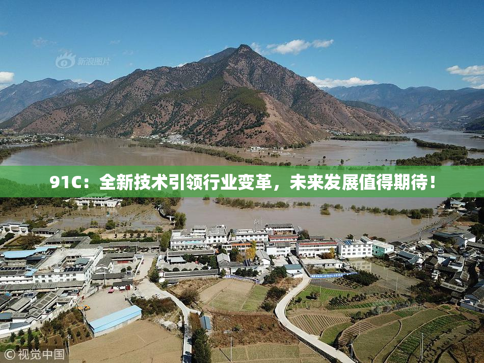91C：全新技术引领行业变革，未来发展值得期待！