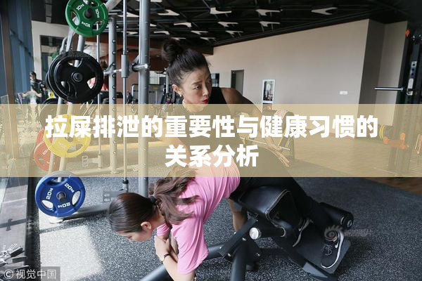 拉屎排泄的重要性与健康习惯的关系分析