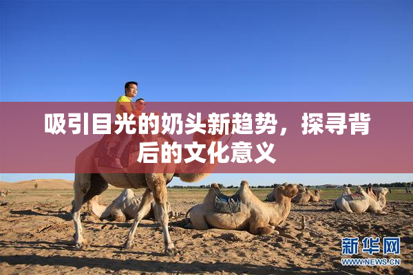 吸引目光的奶头新趋势，探寻背后的文化意义
