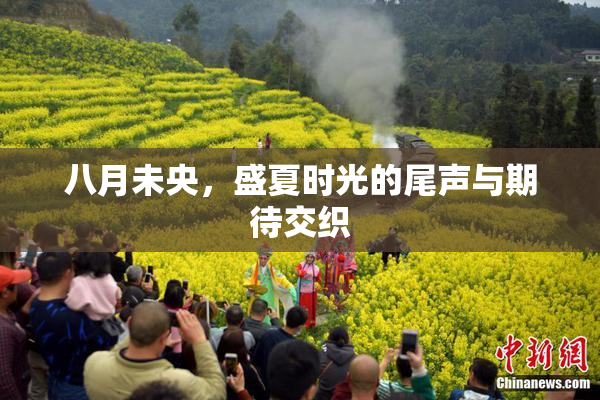 八月未央，盛夏时光的尾声与期待交织