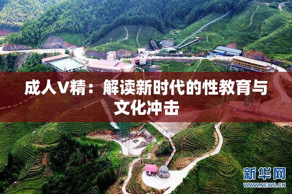 成人V精：解读新时代的性教育与文化冲击