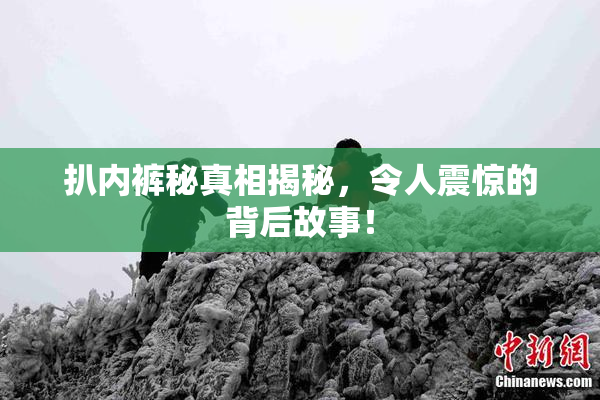 扒内裤秘真相揭秘，令人震惊的背后故事！