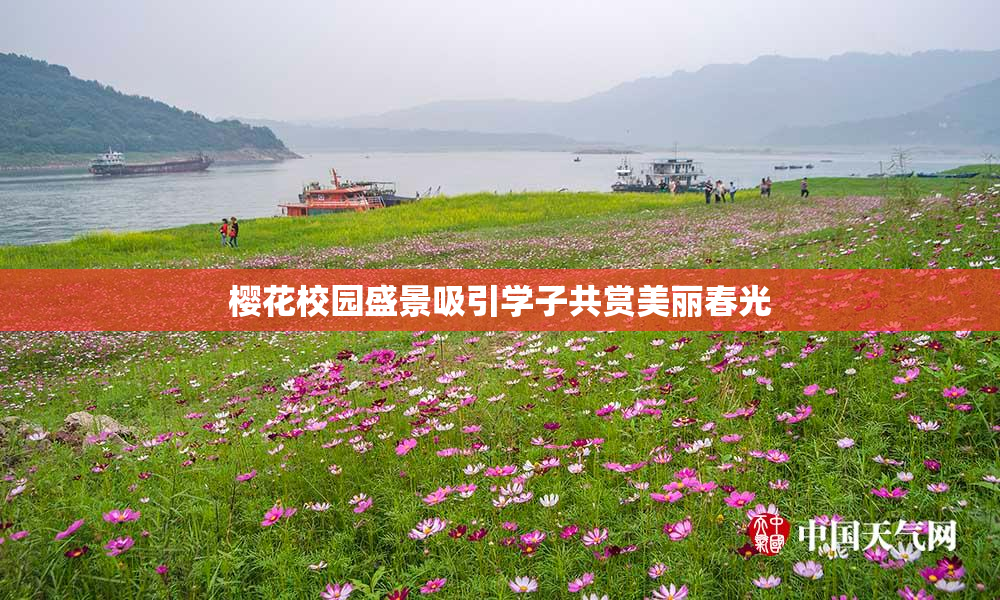 樱花校园盛景吸引学子共赏美丽春光