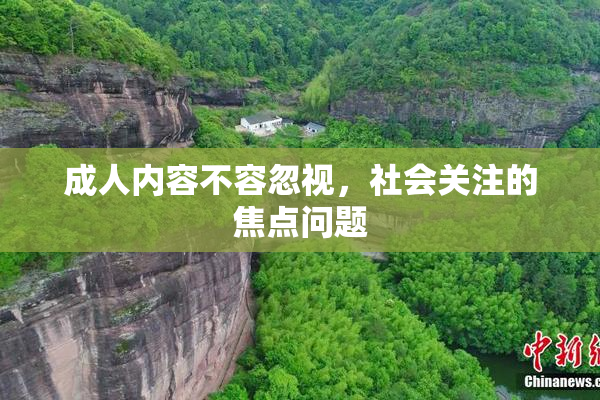 成人内容不容忽视，社会关注的焦点问题