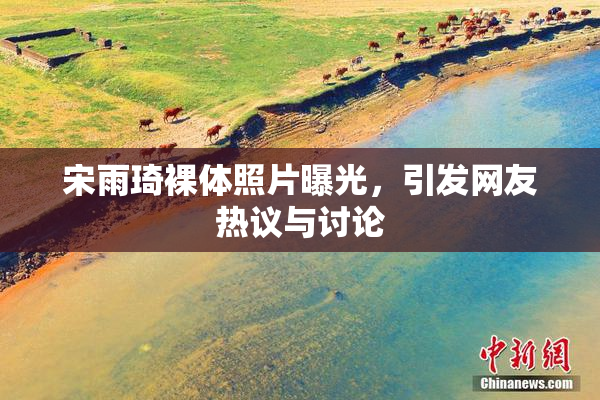 宋雨琦裸体照片曝光，引发网友热议与讨论