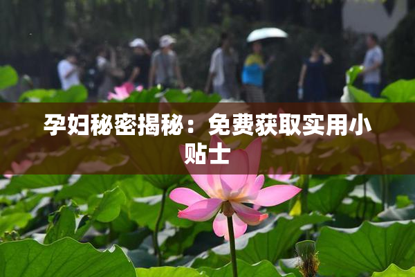 孕妇秘密揭秘：免费获取实用小贴士