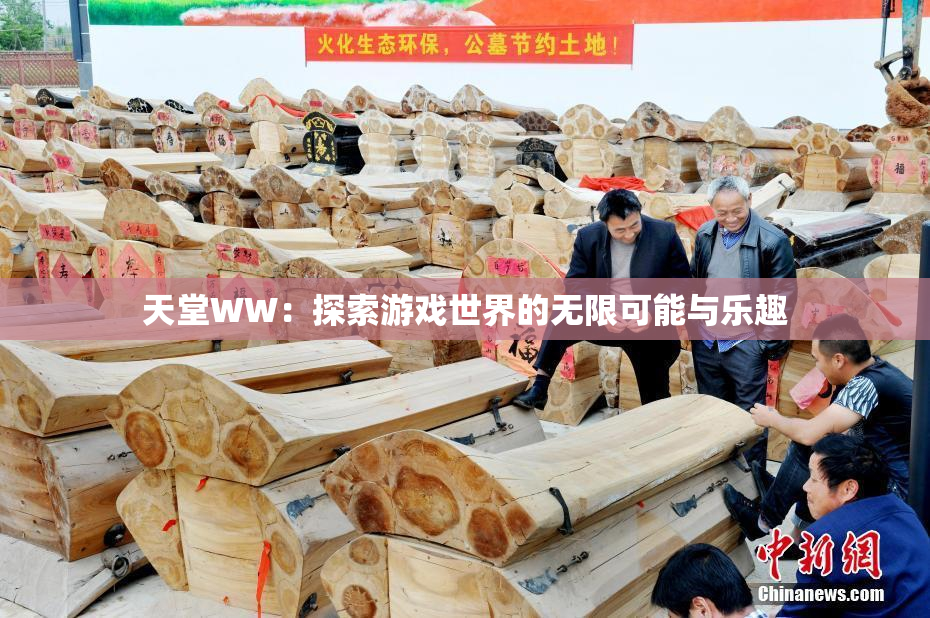 天堂WW：探索游戏世界的无限可能与乐趣