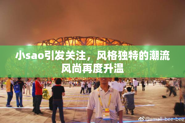 小sao引发关注，风格独特的潮流风尚再度升温