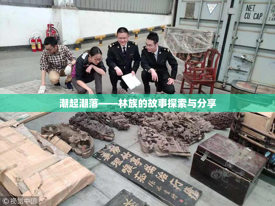 潮起潮落——林族的故事探索与分享