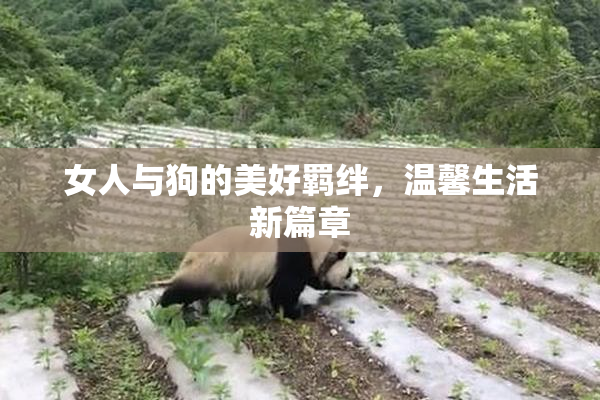 女人与狗的美好羁绊，温馨生活新篇章