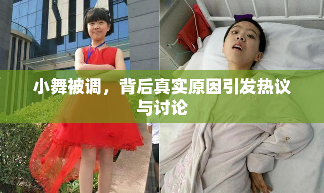 小舞被调，背后真实原因引发热议与讨论