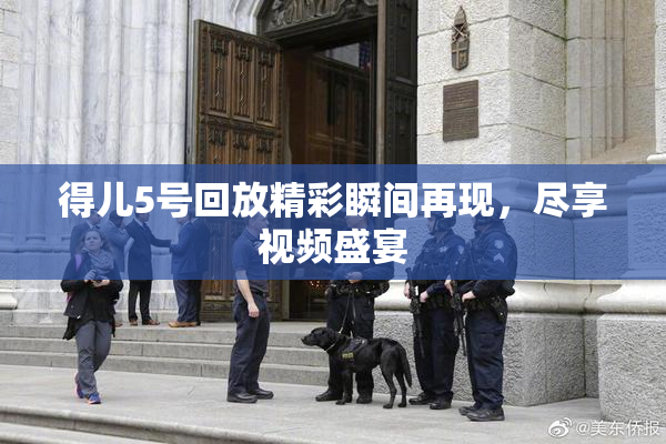 得儿5号回放精彩瞬间再现，尽享视频盛宴