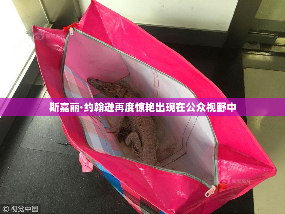 斯嘉丽·约翰逊再度惊艳出现在公众视野中