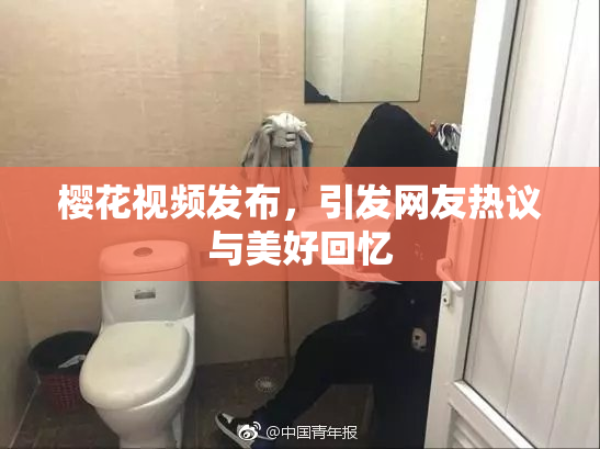 樱花视频发布，引发网友热议与美好回忆