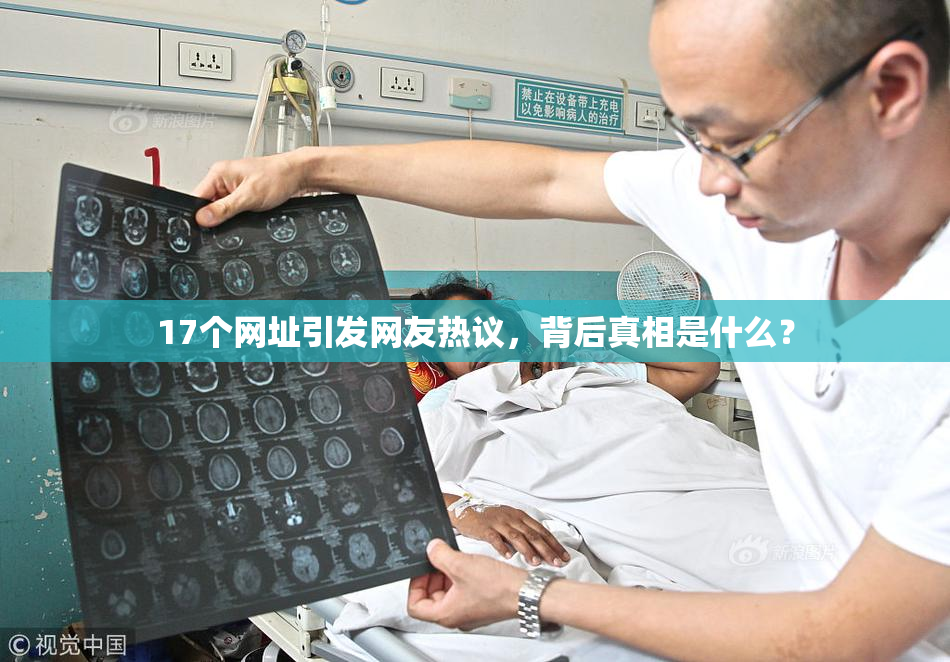 17个网址引发网友热议，背后真相是什么？