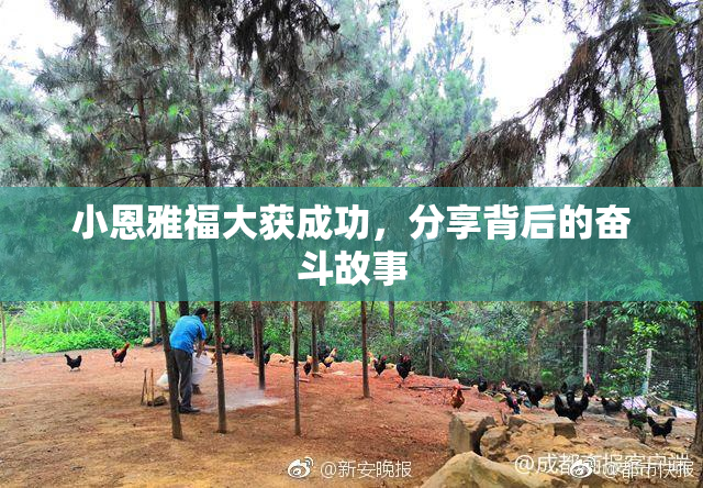 小恩雅福大获成功，分享背后的奋斗故事