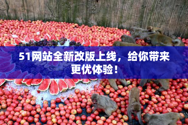 51网站全新改版上线，给你带来更优体验！