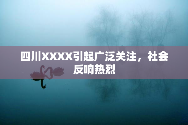 四川XXXX引起广泛关注，社会反响热烈