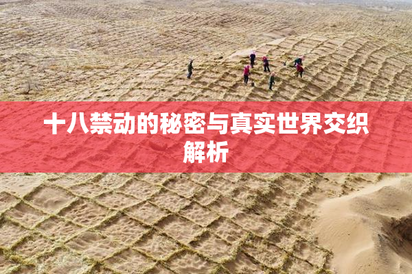 十八禁动的秘密与真实世界交织解析