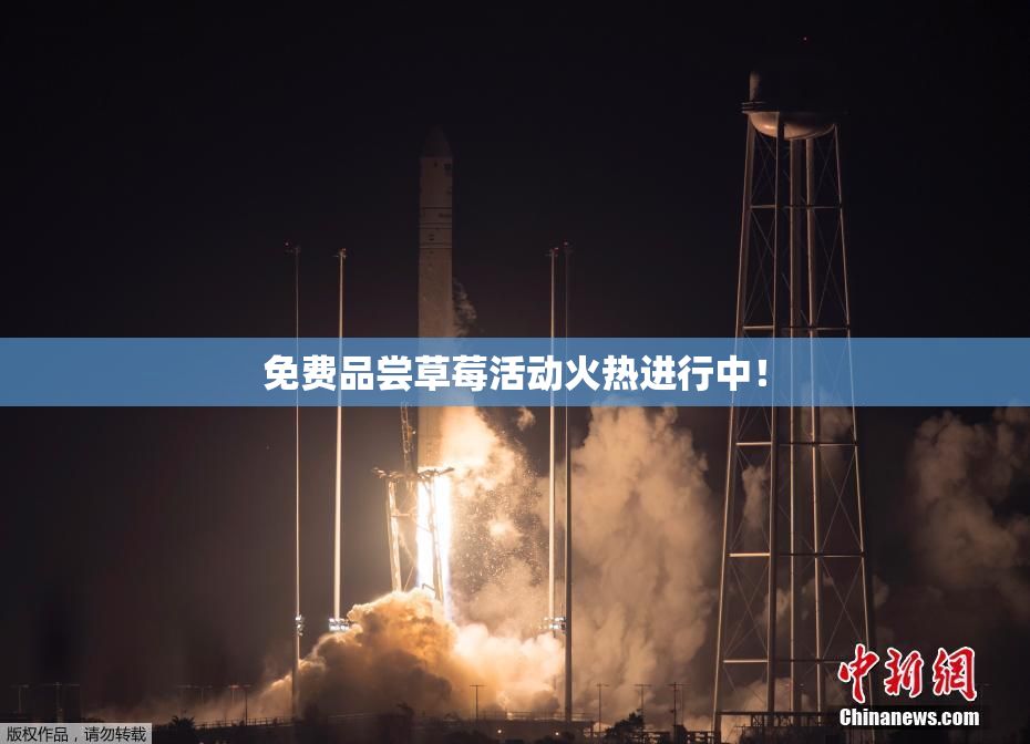 免费品尝草莓活动火热进行中！