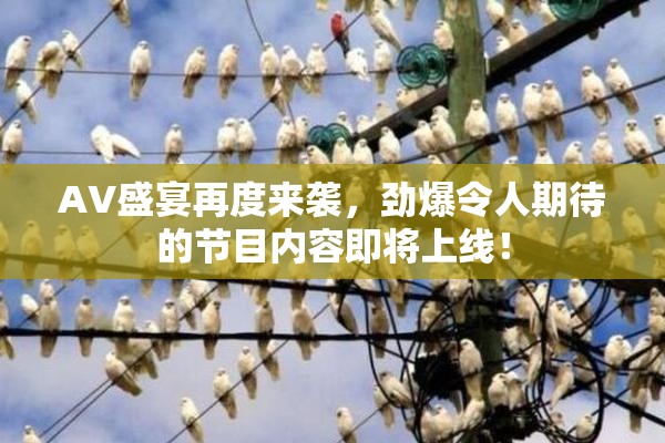 AV盛宴再度来袭，劲爆令人期待的节目内容即将上线！
