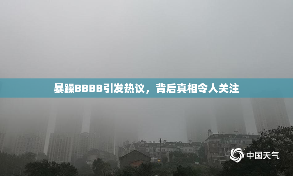 暴躁BBBB引发热议，背后真相令人关注