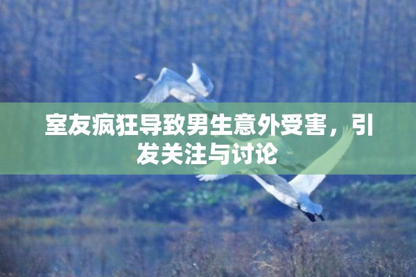 室友疯狂导致男生意外受害，引发关注与讨论