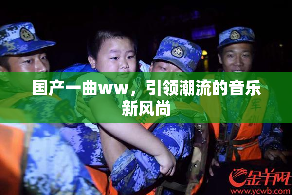 国产一曲ww，引领潮流的音乐新风尚