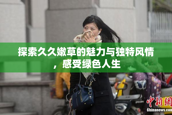 探索久久嫩草的魅力与独特风情，感受绿色人生