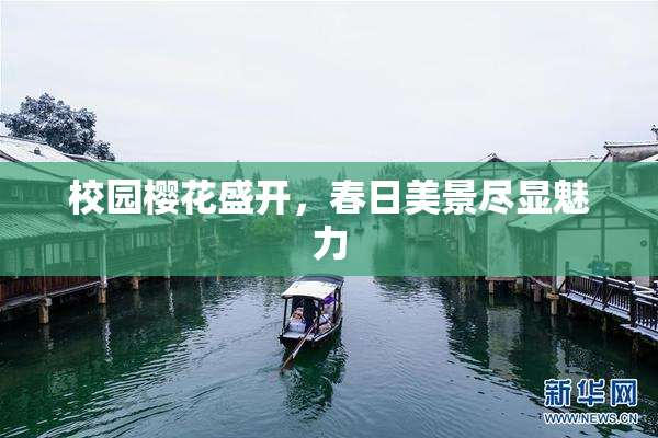 校园樱花盛开，春日美景尽显魅力