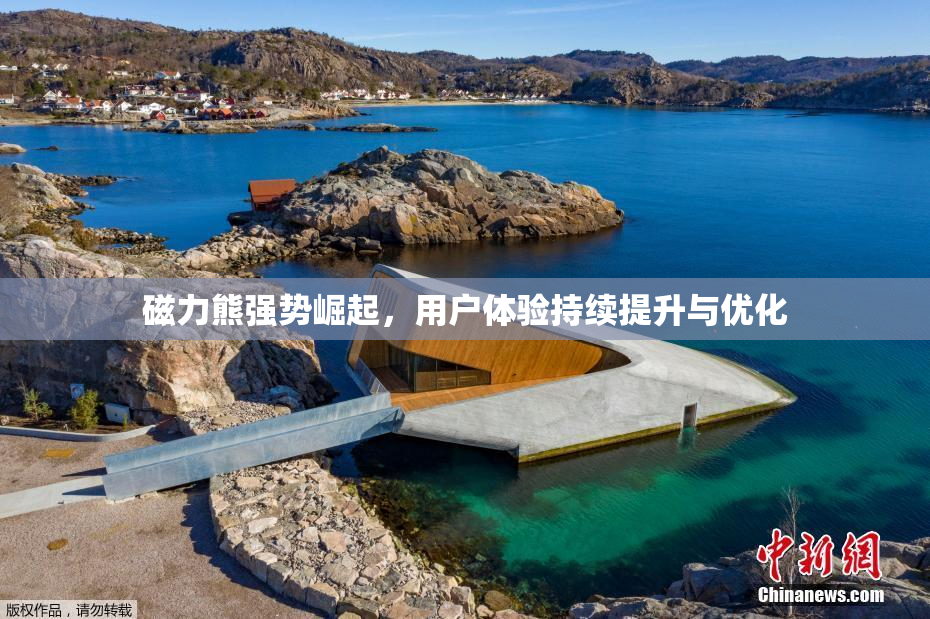 磁力熊强势崛起，用户体验持续提升与优化