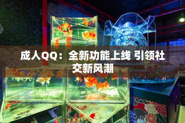 成人QQ：全新功能上线 引领社交新风潮