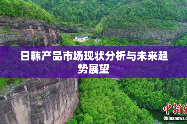 日韩产品市场现状分析与未来趋势展望
