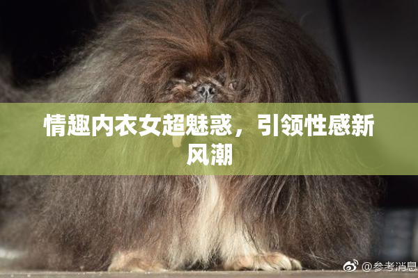 情趣内衣女超魅惑，引领性感新风潮
