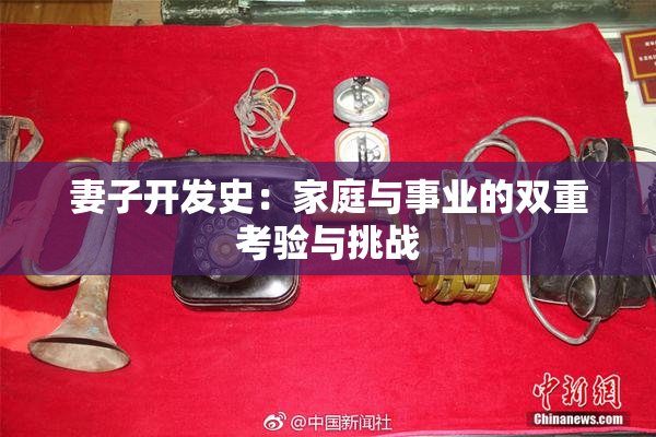 妻子开发史：家庭与事业的双重考验与挑战