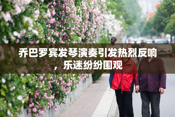 乔巴罗宾发琴演奏引发热烈反响，乐迷纷纷围观
