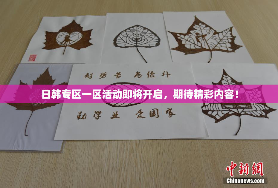 日韩专区一区活动即将开启，期待精彩内容！