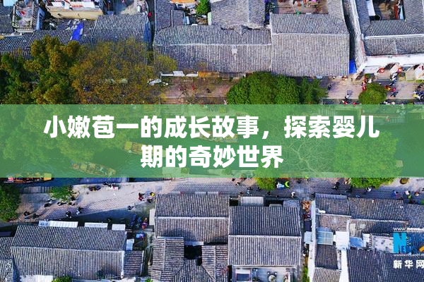 小嫩苞一的成长故事，探索婴儿期的奇妙世界