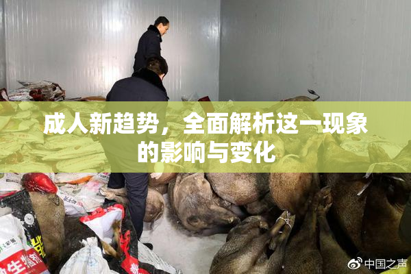 成人新趋势，全面解析这一现象的影响与变化