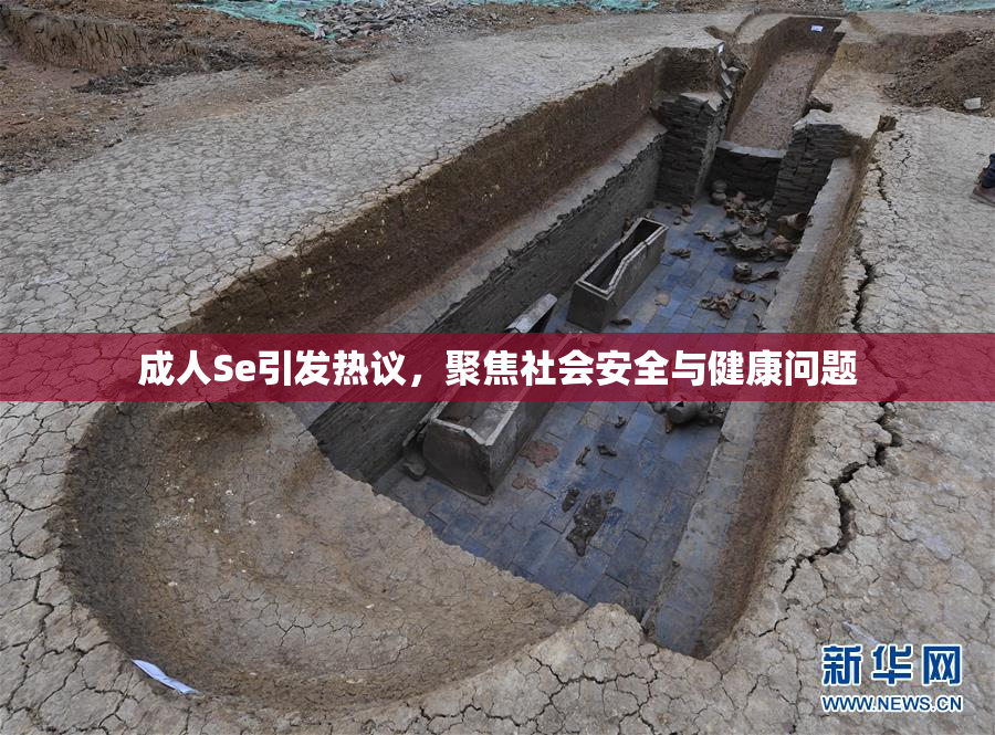 成人Se引发热议，聚焦社会安全与健康问题