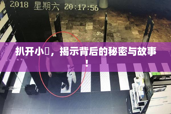 扒开小泬，揭示背后的秘密与故事！