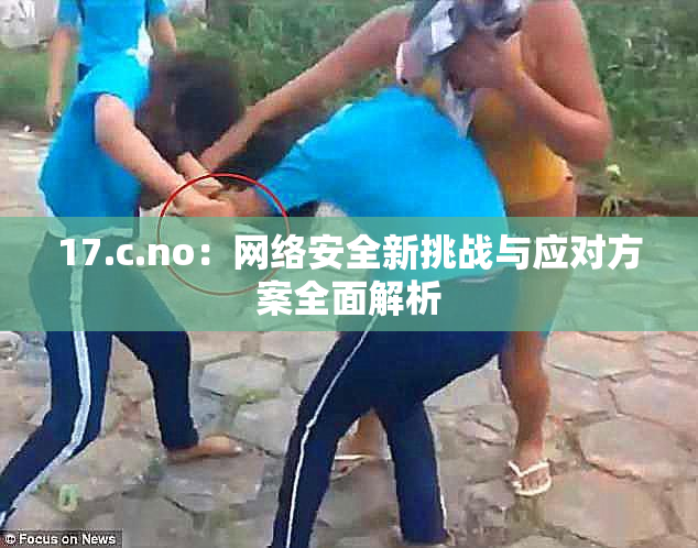 17.c.no：网络安全新挑战与应对方案全面解析