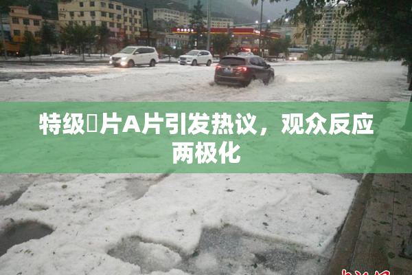 特级婬片A片引发热议，观众反应两极化
