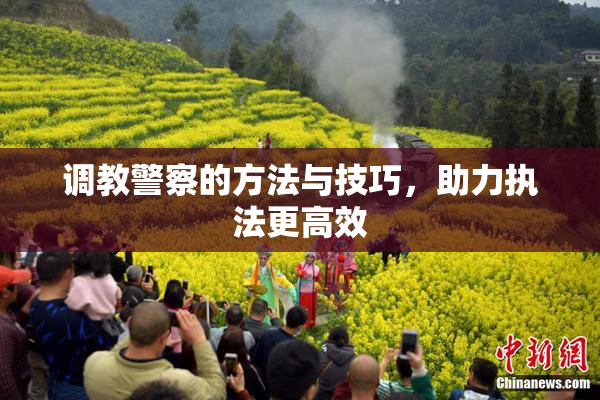 调教警察的方法与技巧，助力执法更高效