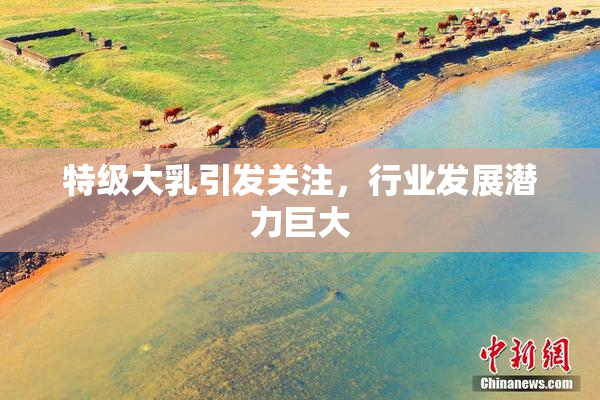 特级大乳引发关注，行业发展潜力巨大
