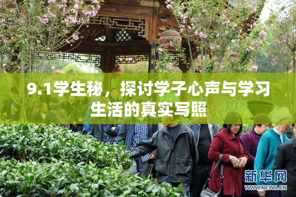 9.1学生秘，探讨学子心声与学习生活的真实写照