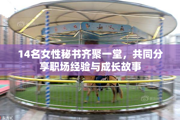 14名女性秘书齐聚一堂，共同分享职场经验与成长故事